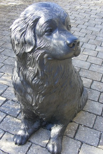 Hund russ von - „russ“, ottmar